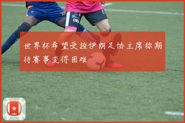 世界杯希望受挫伊朗足协主席称期待赛事变得困难
